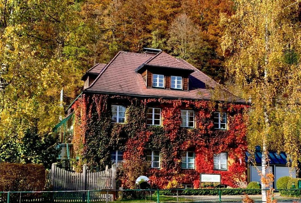 Gaestehaus Grogger Weyer Markt Exterior foto