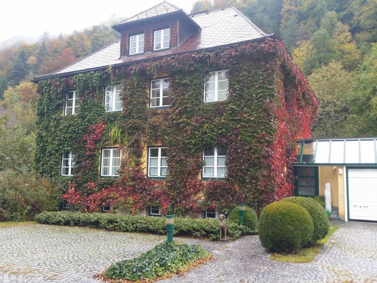 Gaestehaus Grogger Weyer Markt Exterior foto